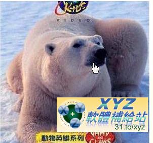 Discovery Kids 動物英雄系列 第三篇 藍海虎鯨Killer Whales 01-03集 國語/英語發音 英文/繁體中文/簡體中文語言字幕版(DVD版)(幼兒教學)(適用任何家用DVD播放機)